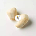 Tora Root Peeled 500gm (Arvi)